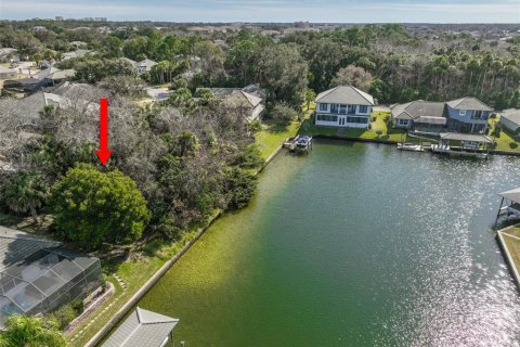Land in Palm Coast, Florida № 2108982 - photo 6