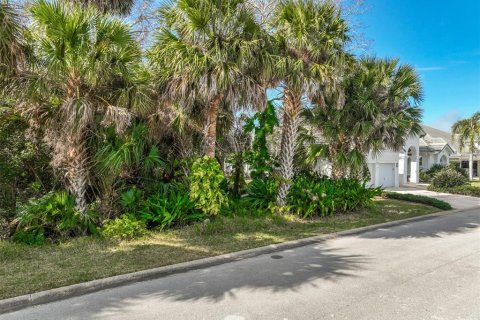 Land in Palm Coast, Florida № 2108982 - photo 2