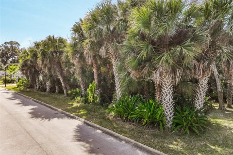 Land in Palm Coast, Florida № 2108982 - photo 18