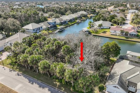 Land in Palm Coast, Florida № 2108982 - photo 16