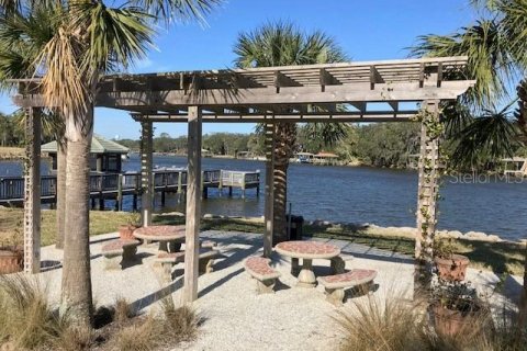 Land in Palm Coast, Florida № 2108982 - photo 25