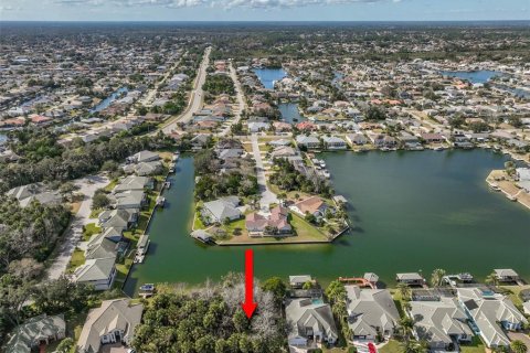 Land in Palm Coast, Florida № 2108982 - photo 11