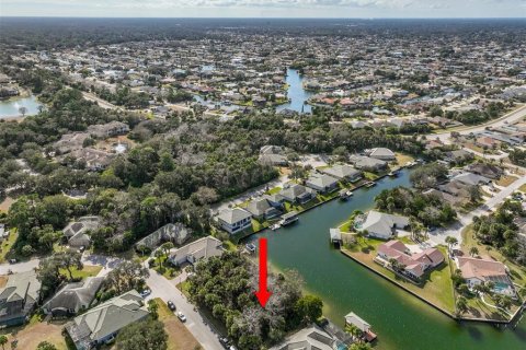 Land in Palm Coast, Florida № 2108982 - photo 12
