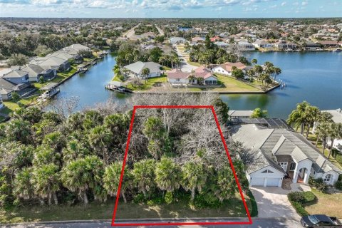Terreno en Palm Coast, Florida № 2108982