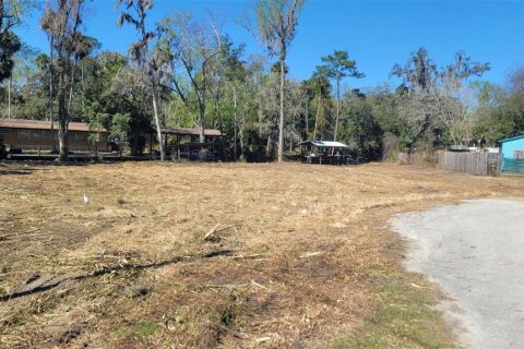 Terrain à vendre à Astor, Floride № 2092198 - photo 6