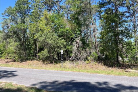 Land in Citrus Springs, Florida № 2159236 - photo 2