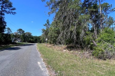 Land in Citrus Springs, Florida № 2159236 - photo 4