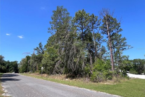 Land in Citrus Springs, Florida № 2159236 - photo 5
