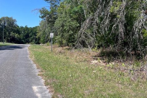 Land in Citrus Springs, Florida № 2159236 - photo 3