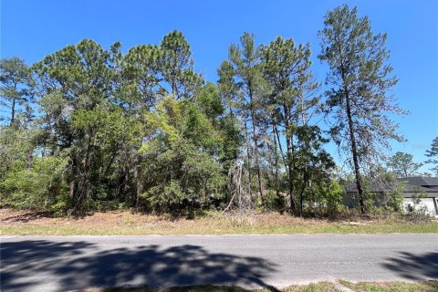 Land in Citrus Springs, Florida № 2159236
