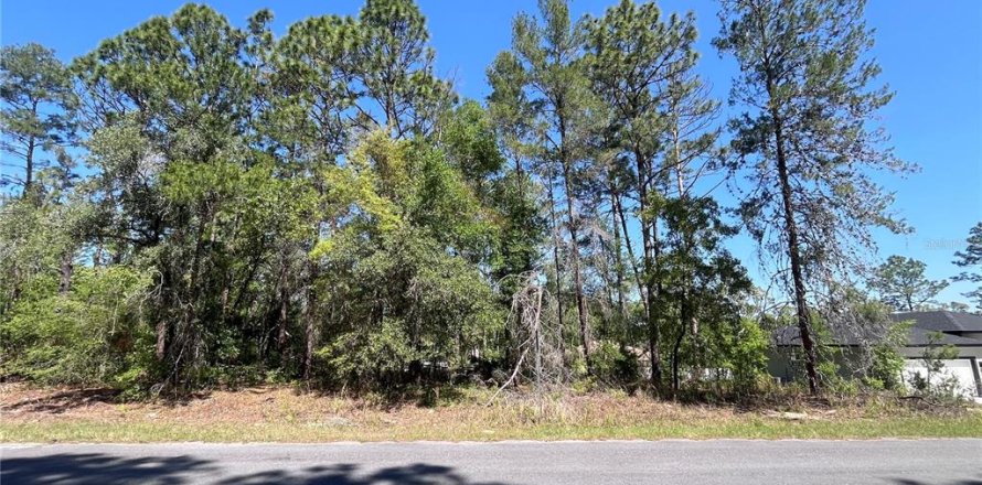 Land in Citrus Springs, Florida № 2159236