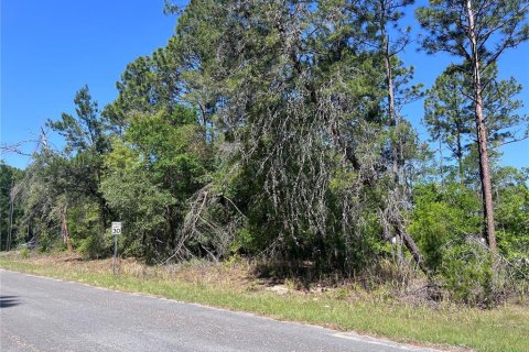 Land in Citrus Springs, Florida № 2159236 - photo 6