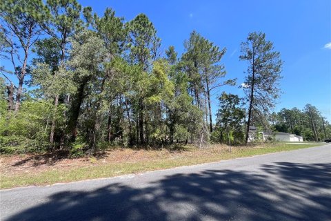 Land in Citrus Springs, Florida № 2159236 - photo 8