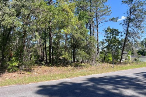 Land in Citrus Springs, Florida № 2159236 - photo 7