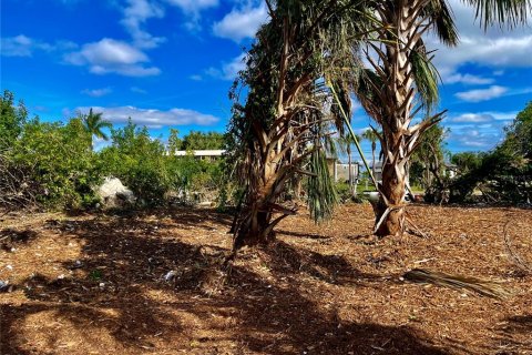 Land in Punta Gorda, Florida № 872625 - photo 5