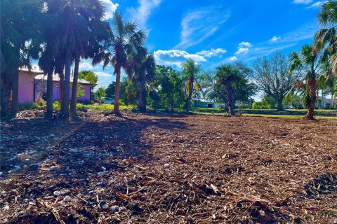 Land in Punta Gorda, Florida № 872625 - photo 6