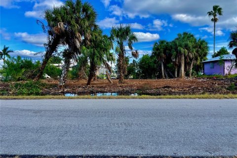 Land in Punta Gorda, Florida № 872625 - photo 2