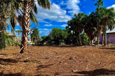 Land in Punta Gorda, Florida № 872625 - photo 3