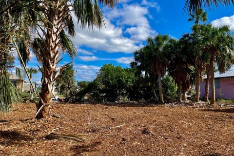 Land in Punta Gorda, Florida № 872625 - photo 4