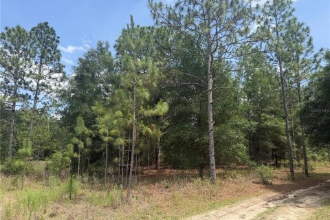 Terrain à vendre à Ocala, Floride № 2214230 - photo 4
