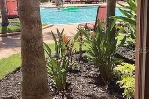 Copropriété à louer à Clearwater, Floride: 2 chambres, 105.91 m2 № 2388801 - photo 19
