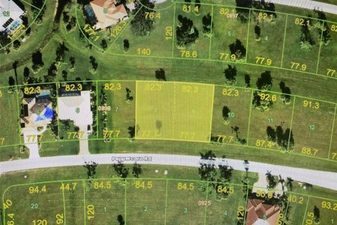 Terreno en venta en Punta Gorda, Florida № 1800073 - foto 10