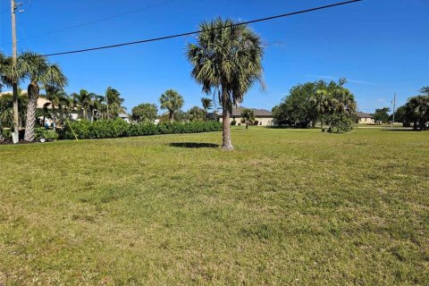 Terreno en venta en Punta Gorda, Florida № 1800073 - foto 8