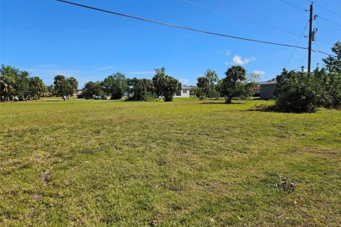 Terreno en venta en Punta Gorda, Florida № 1800073 - foto 2