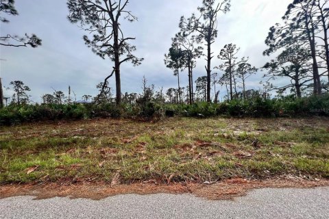 Land in Placida, Florida № 2160073
