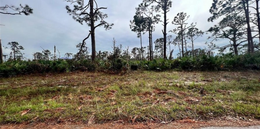 Land in Placida, Florida № 2160073
