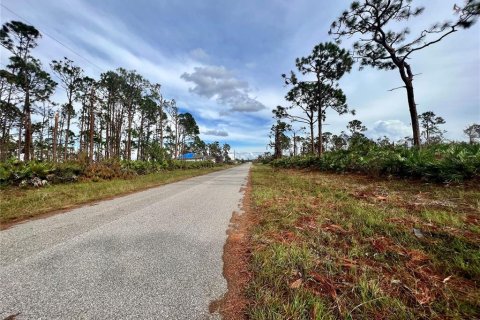 Land in Placida, Florida № 2160073 - photo 3