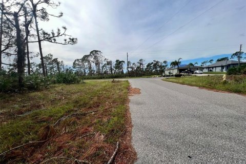 Land in Placida, Florida № 2160073 - photo 2