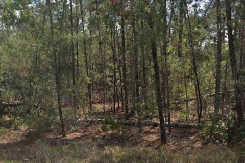 Land in Homosassa, Florida № 2159409 - photo 2