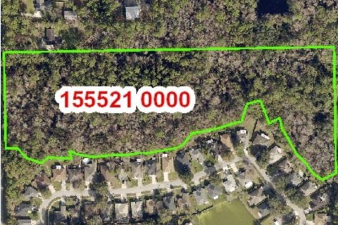 Land in Jacksonville, Florida № 773250 - photo 1