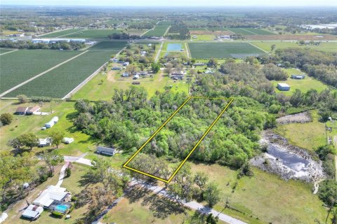 Land in Plant City, Florida № 2108538 - photo 3