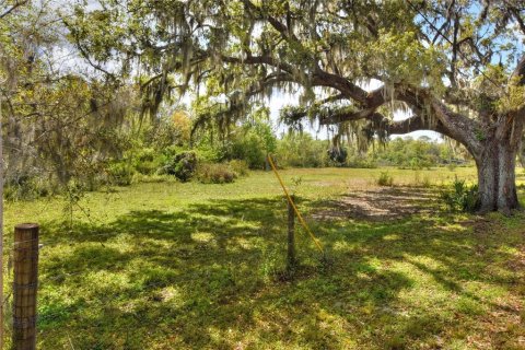 Land in Plant City, Florida № 2108538 - photo 6