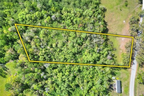 Land in Plant City, Florida № 2108538