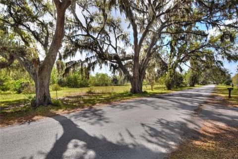 Land in Plant City, Florida № 2108538 - photo 7