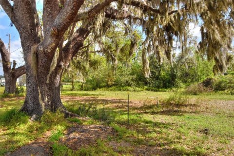 Land in Plant City, Florida № 2108538 - photo 5