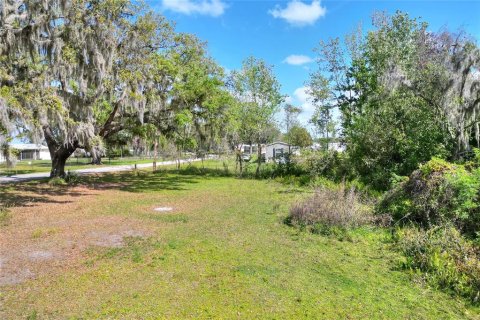Land in Plant City, Florida № 2108538 - photo 4