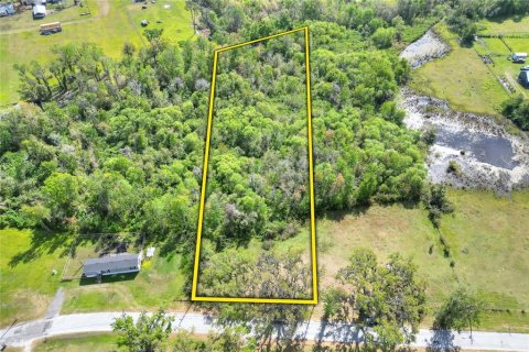 Land in Plant City, Florida № 2108538 - photo 2