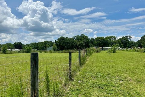 Terreno en venta en Kenansville, Florida № 1795279 - foto 8