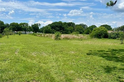 Terreno en venta en Kenansville, Florida № 1795279 - foto 7