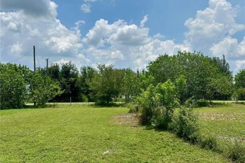 Terreno en venta en Kenansville, Florida № 1795279 - foto 6