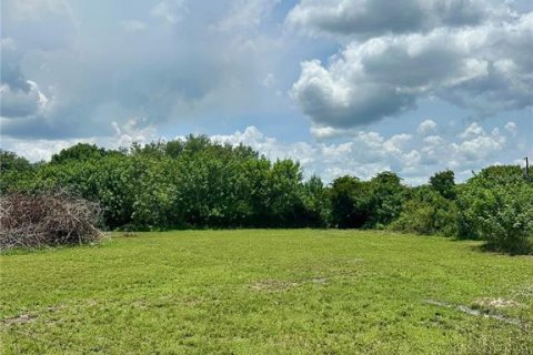 Terreno en venta en Kenansville, Florida № 1795279 - foto 4