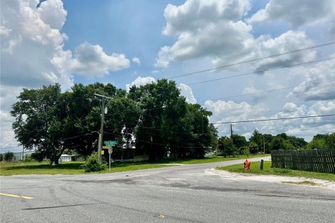 Terreno en venta en Kenansville, Florida № 1795279 - foto 19