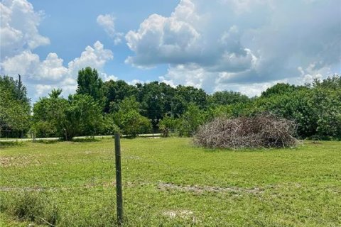 Terreno en venta en Kenansville, Florida № 1795279 - foto 5