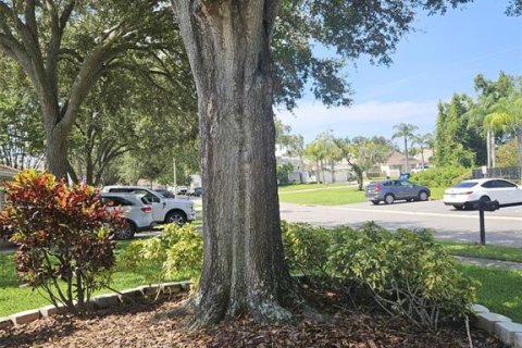 Condominio en alquiler en Palm Harbor, Florida, 2 dormitorios, 88.26 m2 № 1832964 - foto 3