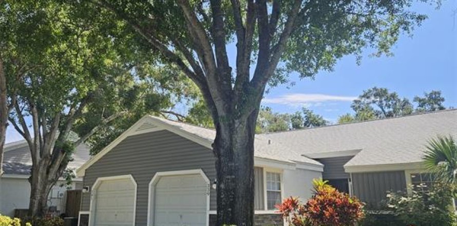 Condo in Palm Harbor, Florida, 2 bedrooms № 1832964
