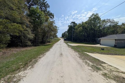 Terrain à Ocala, Floride № 2297017